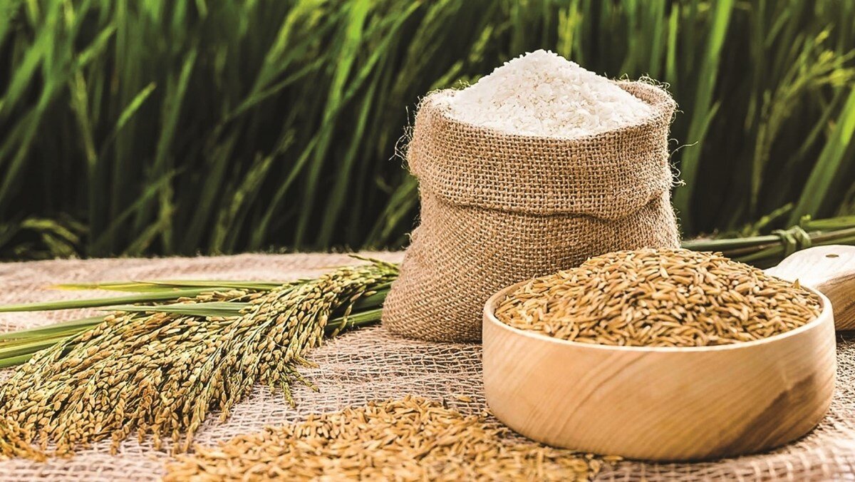 FOODELI - Gìn giữ những giá trị cốt lõi của hạt gạo Viêt